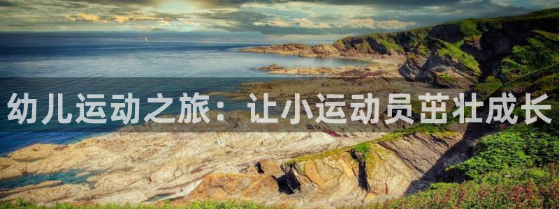 星奥娱乐集团怎么样