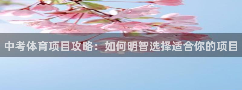 星欧娱乐属于什么档次的公司名称