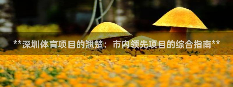 星欧娱乐联最新新闻