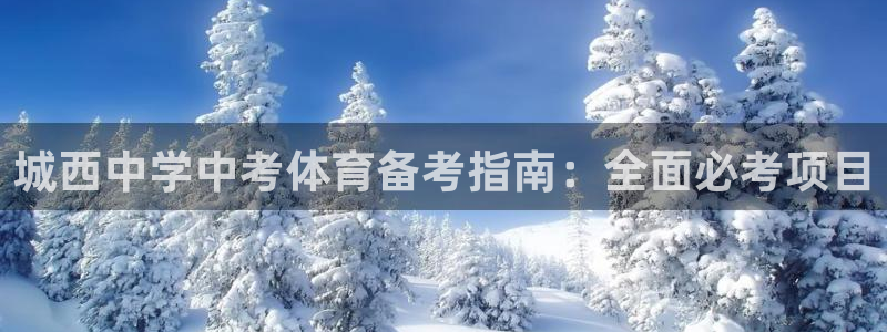 星欧娱乐的官方版本更新内容有哪些
