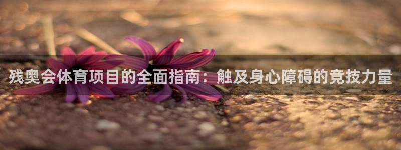 星欧娱乐扣款时间查询方法是什么意思