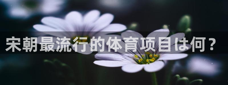星欧娱乐扣费后解决方法