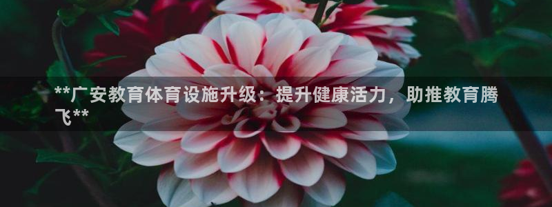 星欧娱乐扣款时间查询方法怎么查不了