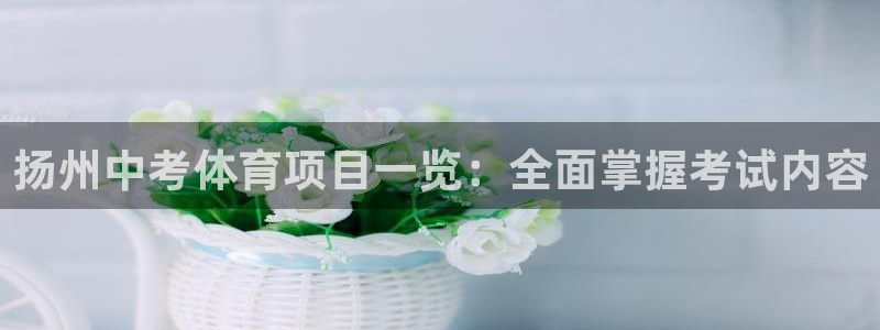 星欧娱乐是什么品牌