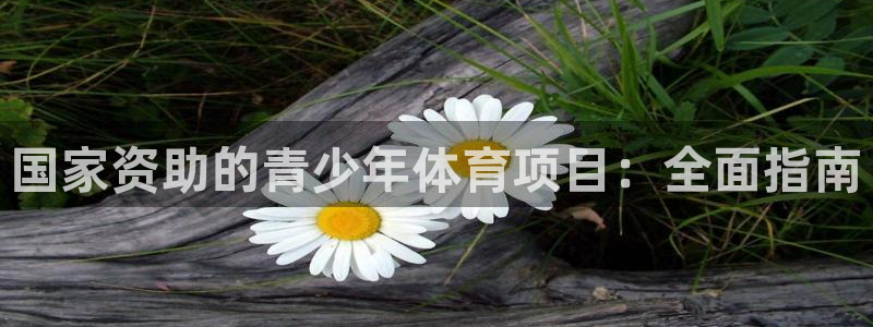 星欧娱乐属于什么档次的软件