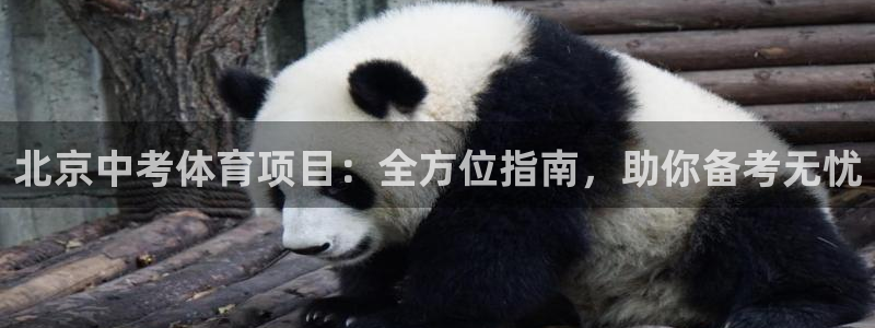 星欧娱乐扣款时间查询方法是什么