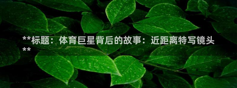 星欧娱乐联最新功能介绍