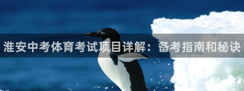 星欧娱乐挂机教程下载