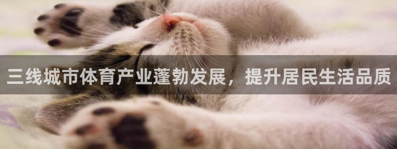 江苏星奥娱乐招艺人