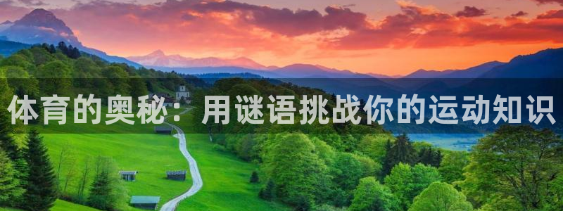 星欧娱乐联4.8.5.6.2.4.3下载