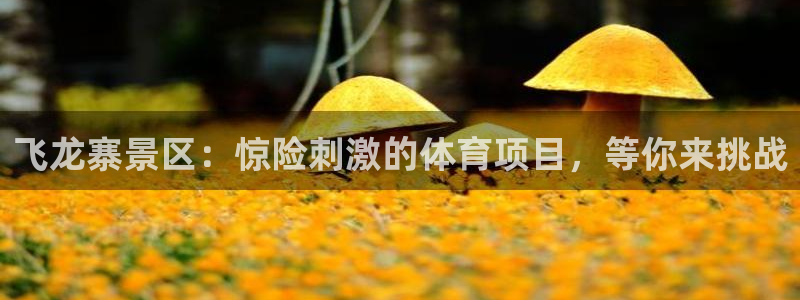 星欧娱乐扣款怎么回事