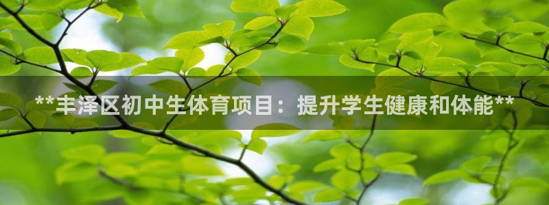 星欧娱乐24小时客服电话