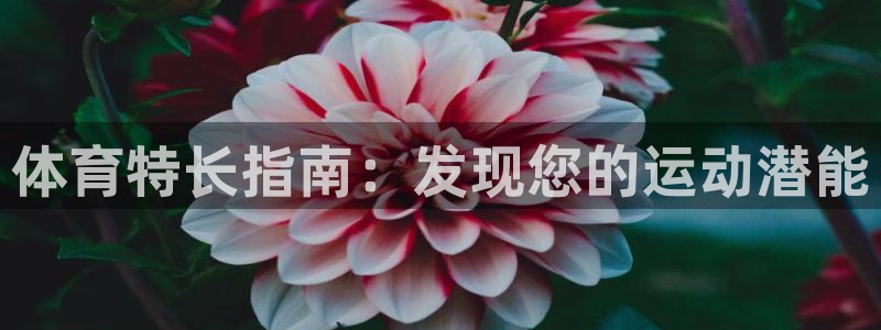 星欧娱乐银行卡怎么登录