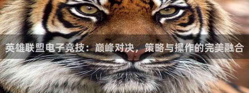 星欧娱乐扣款流程详解图高清