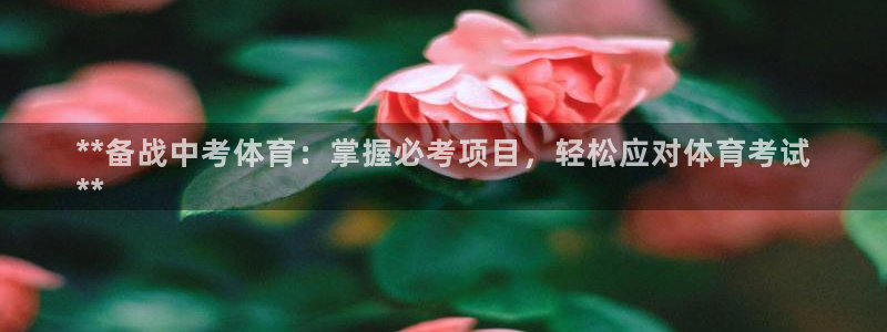 星欧娱乐挂机教程视频