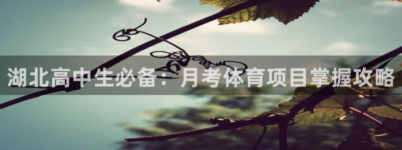 星欧娱乐是正规平台吗知乎