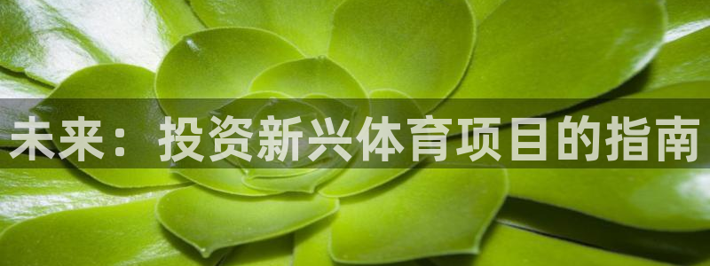 星娱乐online创作的原声