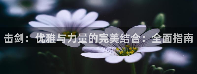 星欧娱乐公司