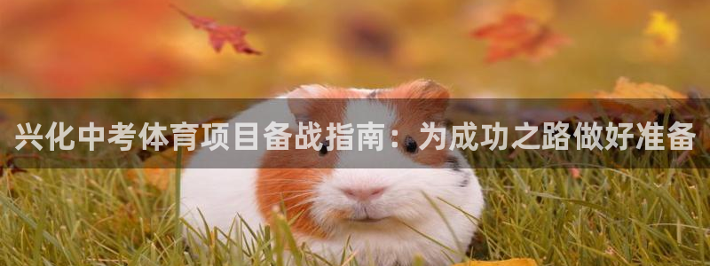 星欧娱乐扣款时间查询方法是什么