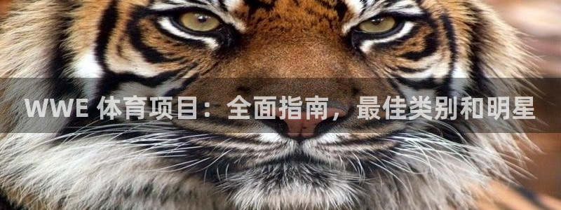 星欧娱乐官方客服联系方式