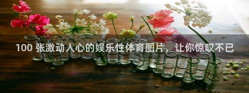 江苏星奥娱乐有限公司出过哪些艺人