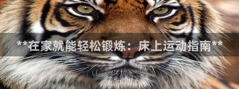 星欧娱乐彩票软件下载官网
