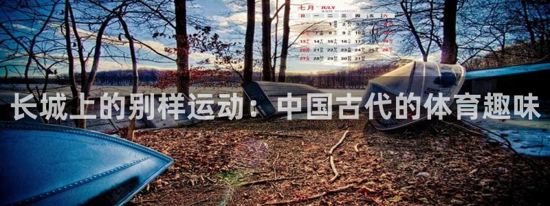 星欧娱乐扣款流程详解图