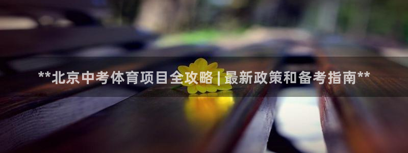 星欧娱乐信存手机版下载