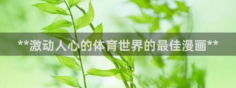星欧娱乐扣款流程详解图高清