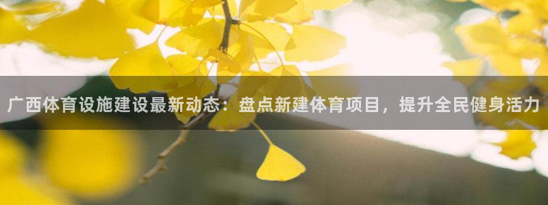 星欧娱乐扣款流程详解图高清