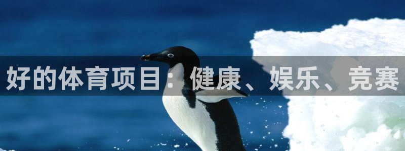 星娱乐是谁的公司