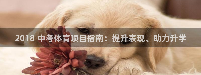 江苏星奥娱乐有限公司报名