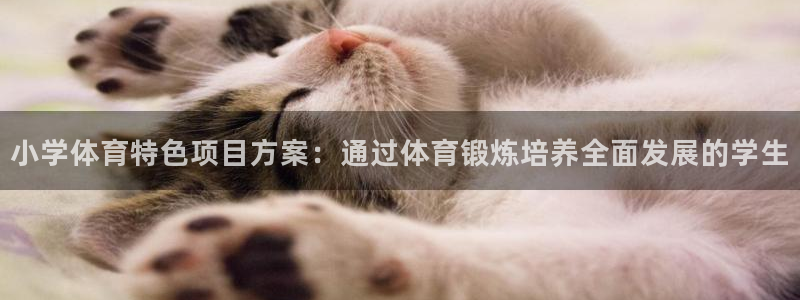 星欧娱乐公司