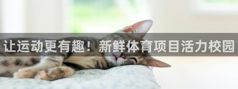 江苏星奥娱乐有限公司怎么样