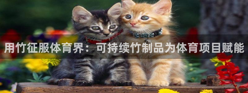 星欧娱乐挂机赚钱
