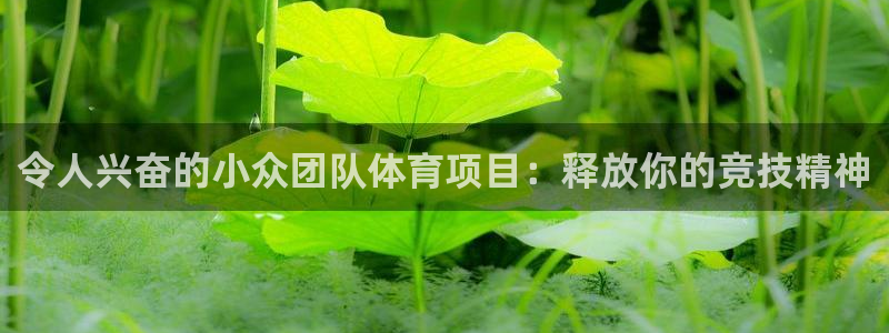 星欧娱乐官网首页