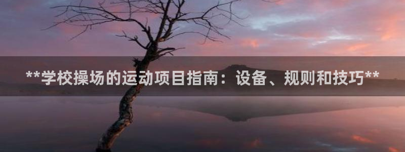 星澳娱乐公司怎么样