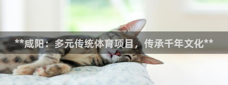 星欧娱乐平台怎么样啊安全吗