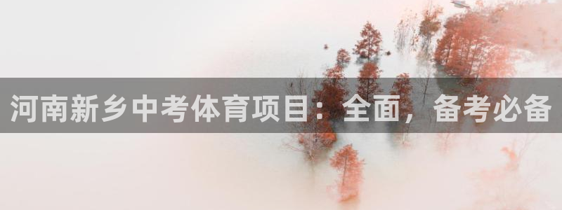 星欧娱乐扣费处理方法