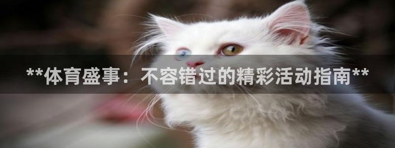 星欧娱乐最建议买的三个产品有哪些内容