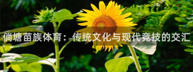 江苏星奥娱乐有限公司出过哪些艺人
