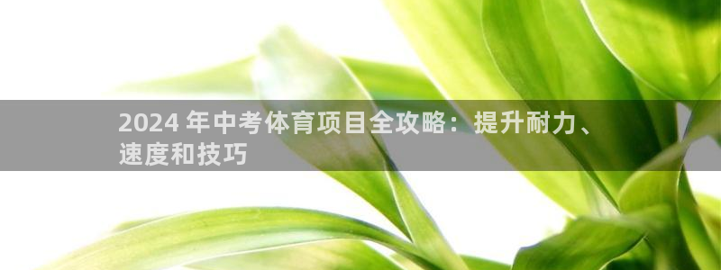 星欧娱乐公司