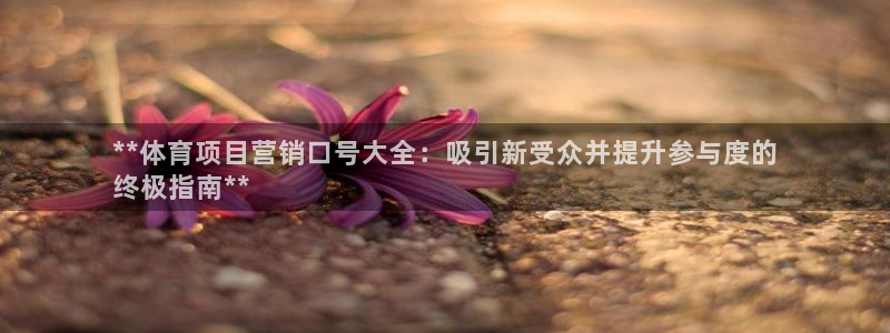 星欧娱乐载711.112使用教程详解