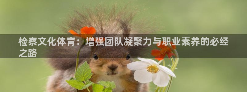 星欧娱乐公司怎么样