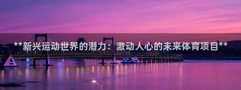 星欧娱乐公司简介