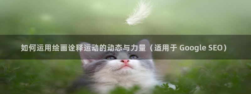 星娱乐包月业务是什么