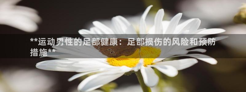 星娱乐online创作的原声