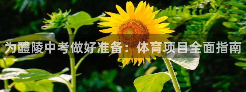 星欧娱乐工711.112怎么没有了