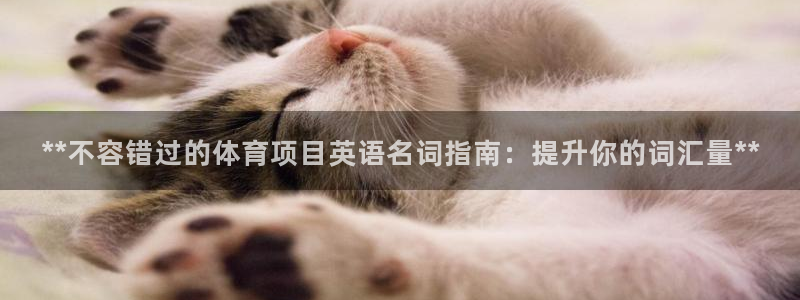 星奥娱乐招聘
