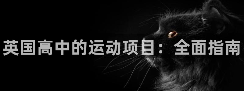 星欧娱乐的官方版本更新内容